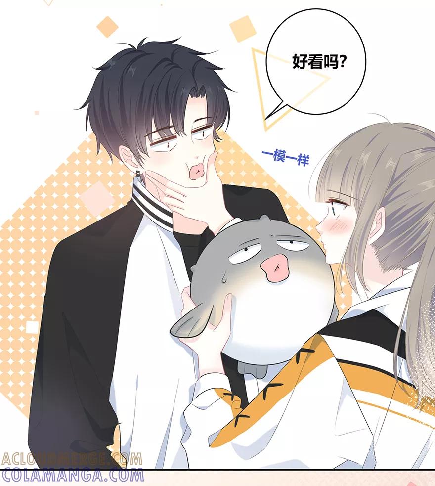 第52页