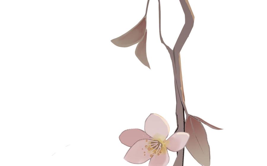第124页