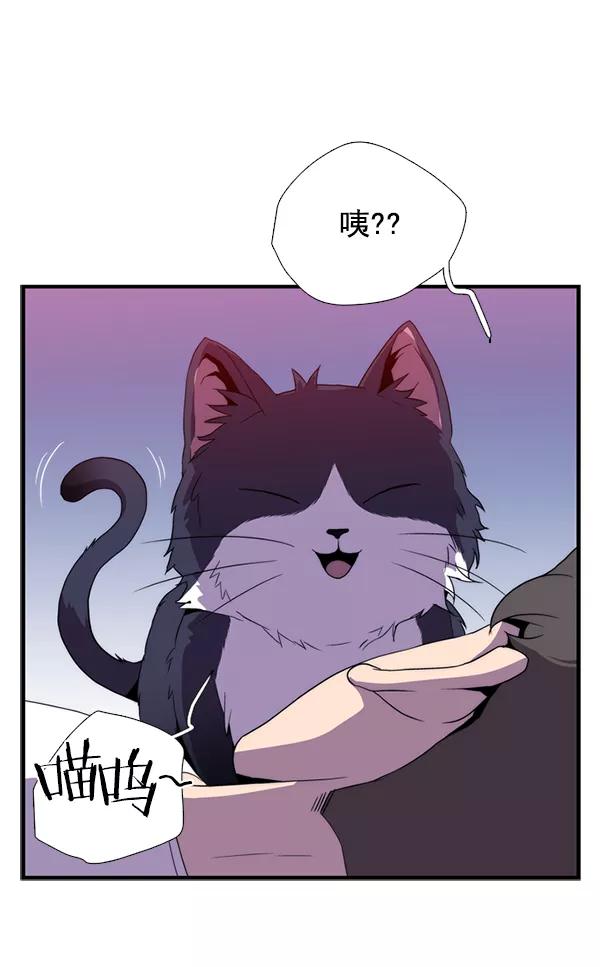 第175页