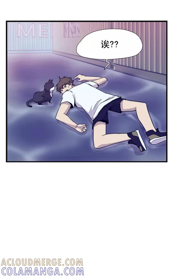 第177页