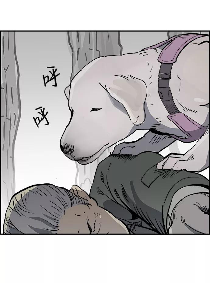 第68页