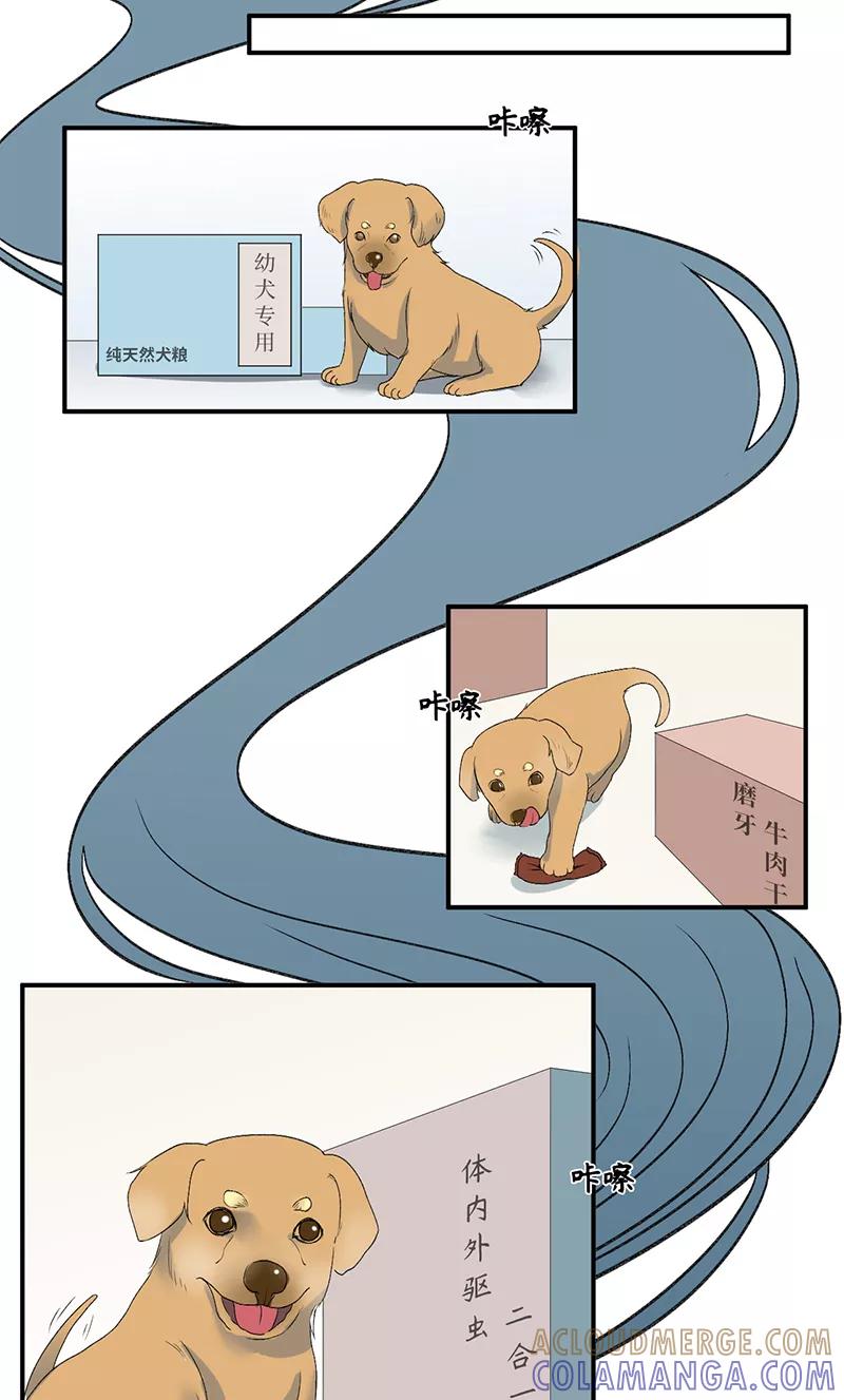 第41页