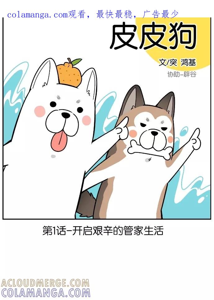 第1页