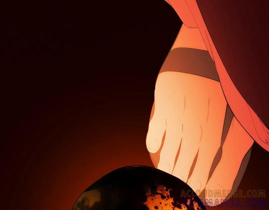 第217页