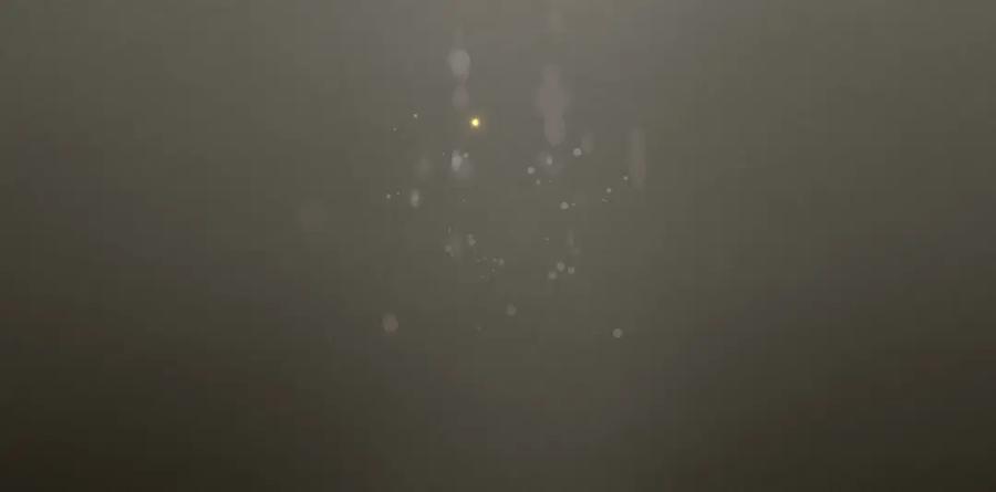 第155页