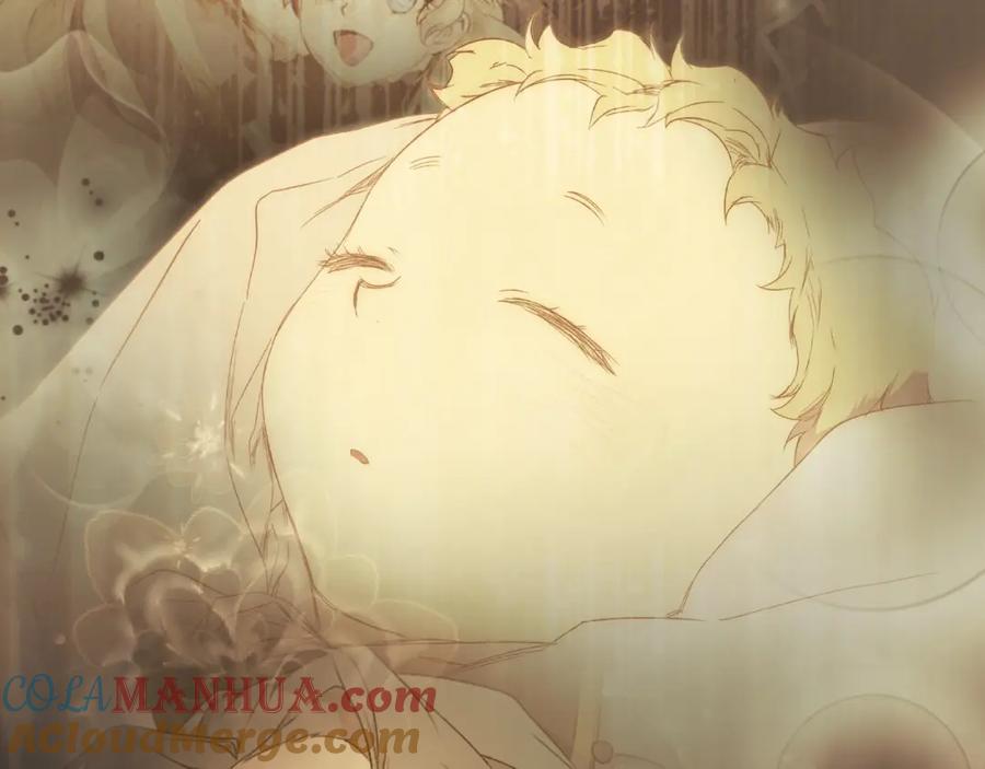 第213页