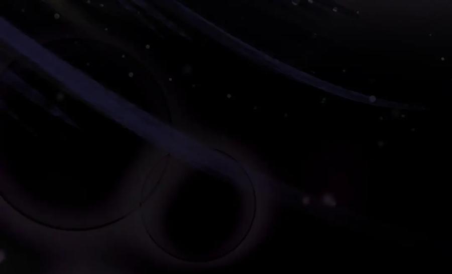 第224页