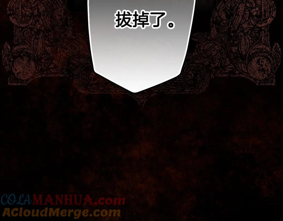 第209页