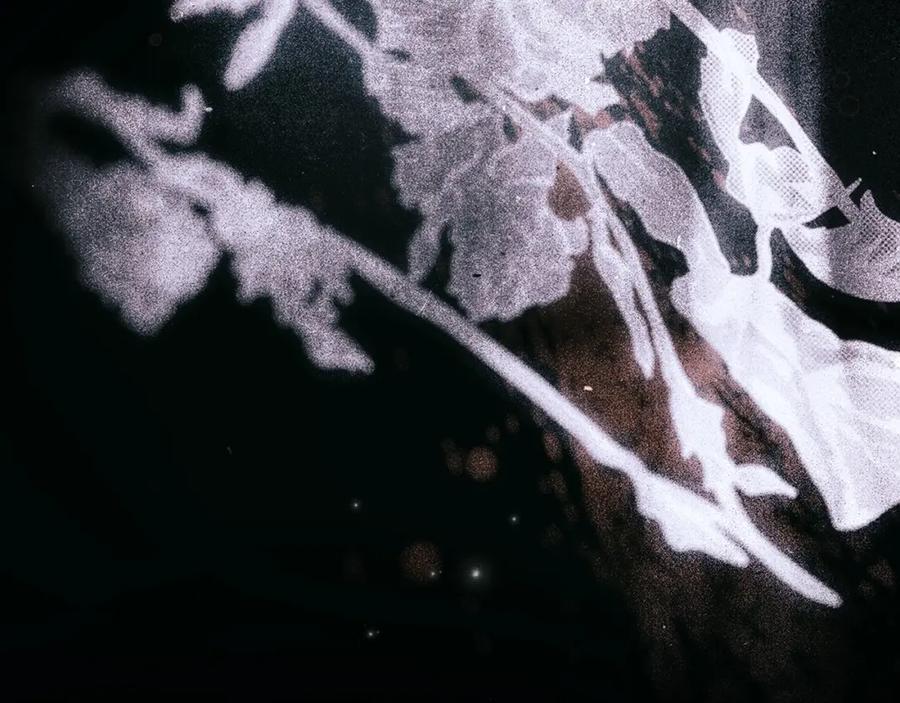 第160页