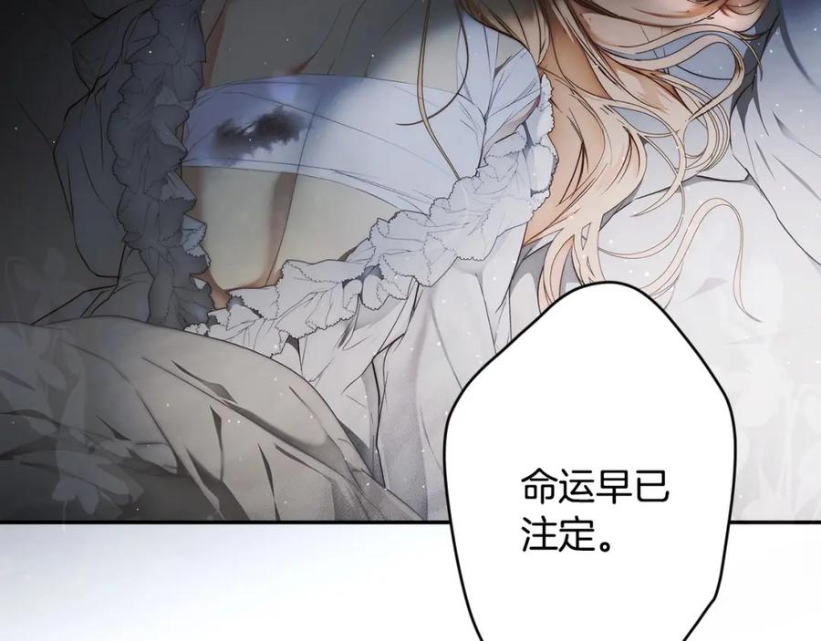 第260页