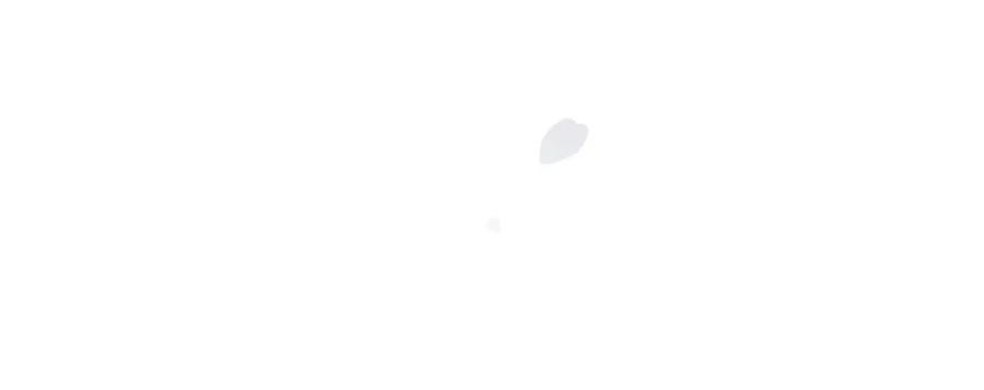 第272页