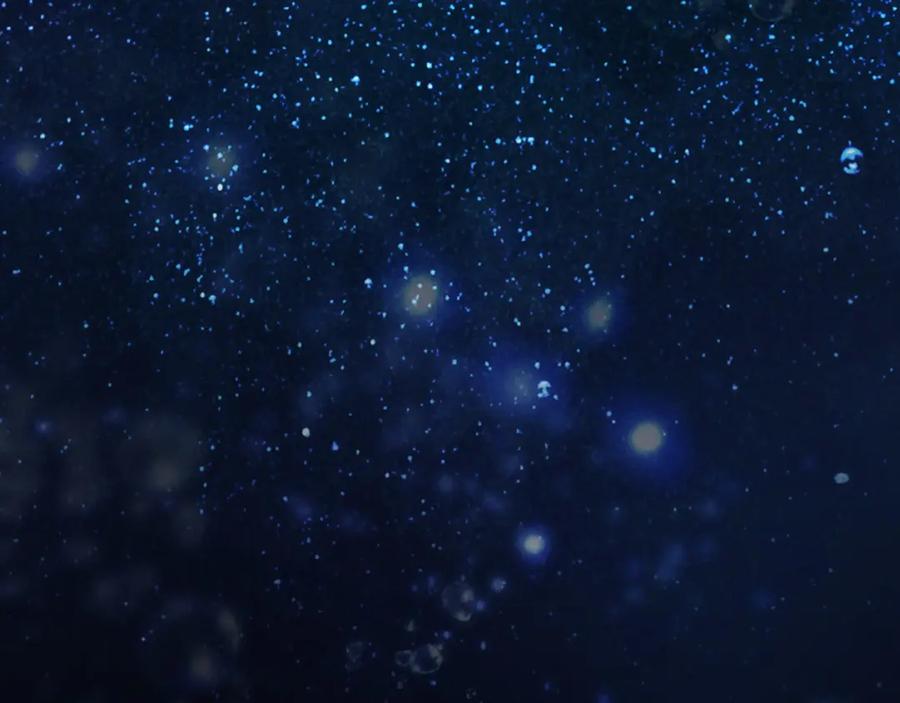 第203页