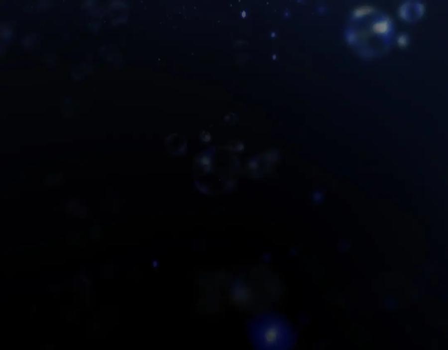 第204页