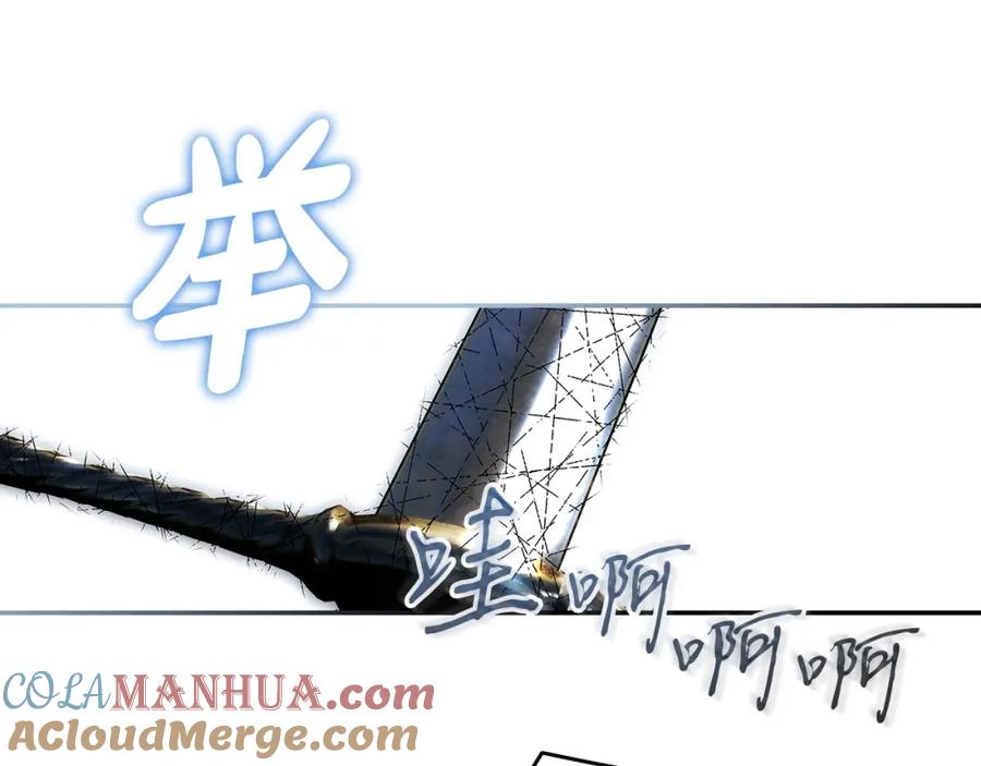 第213页