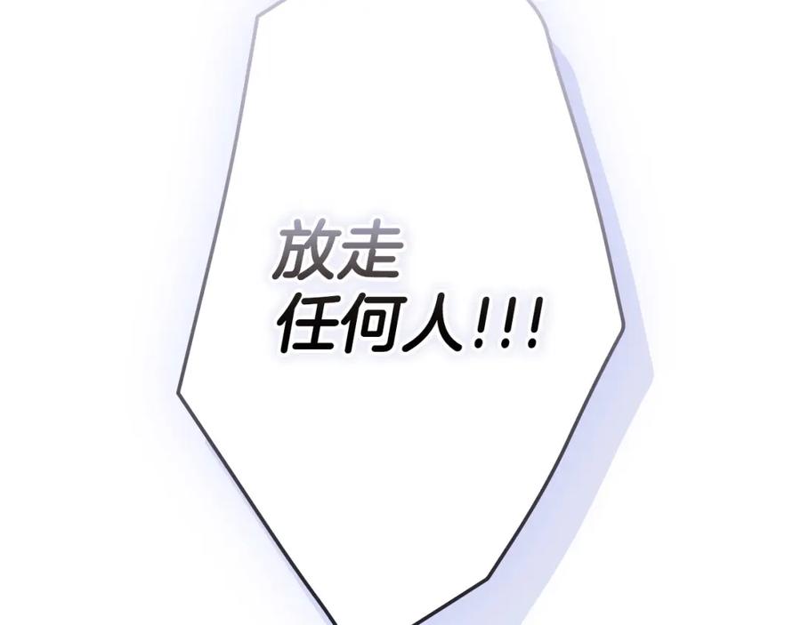 第223页