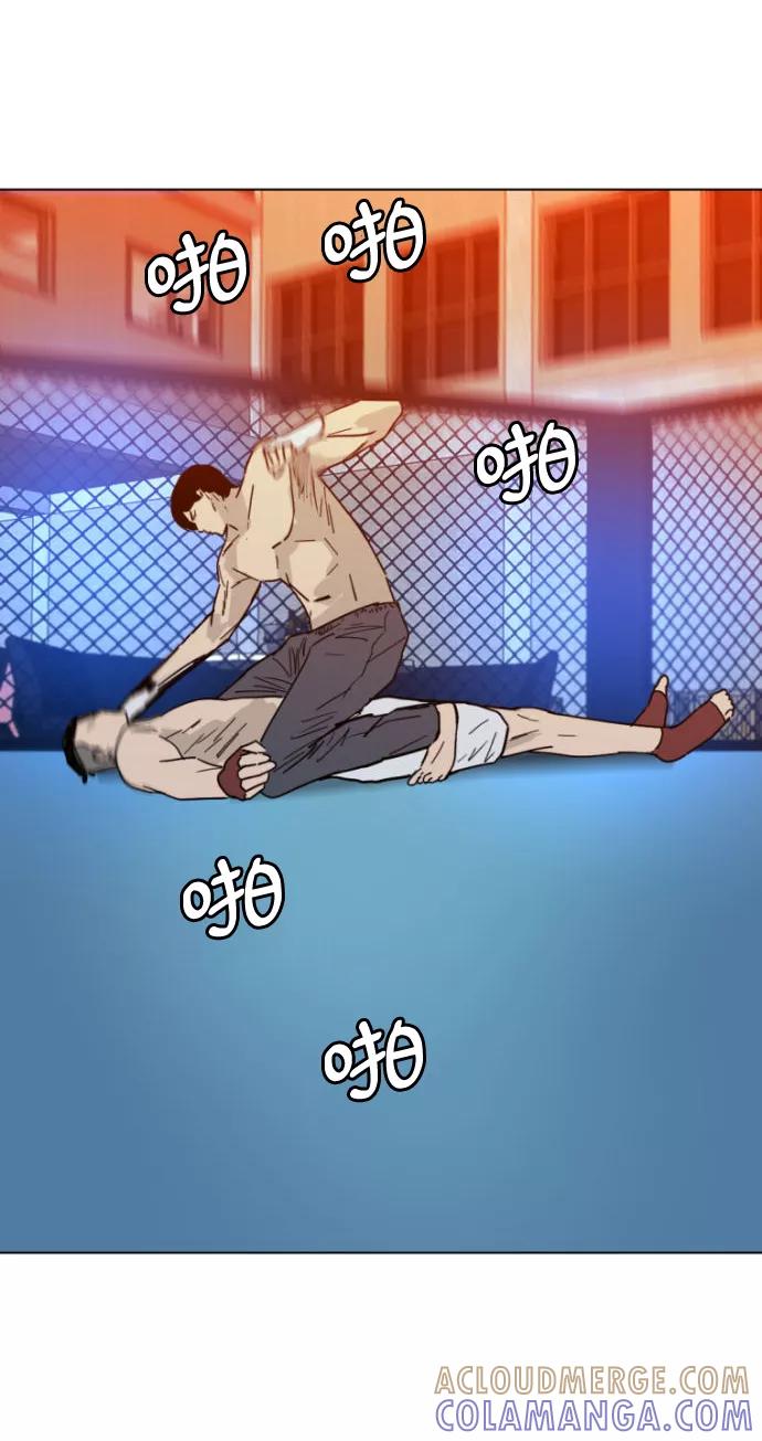第113页