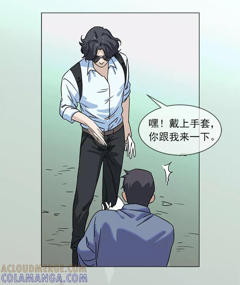 第43页