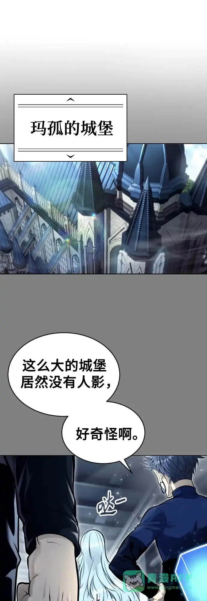 第111页