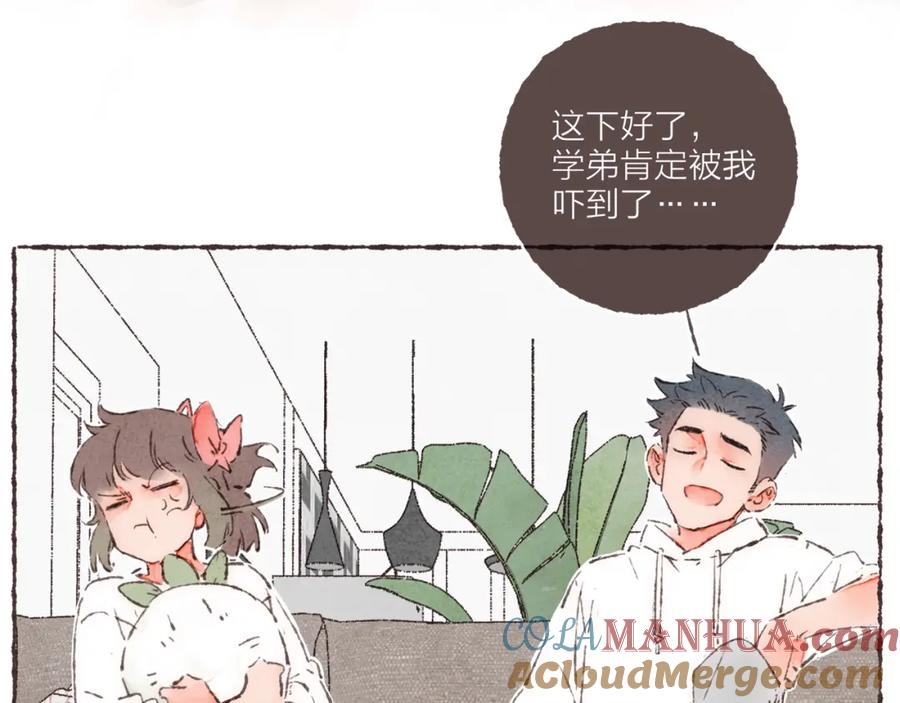 第85页