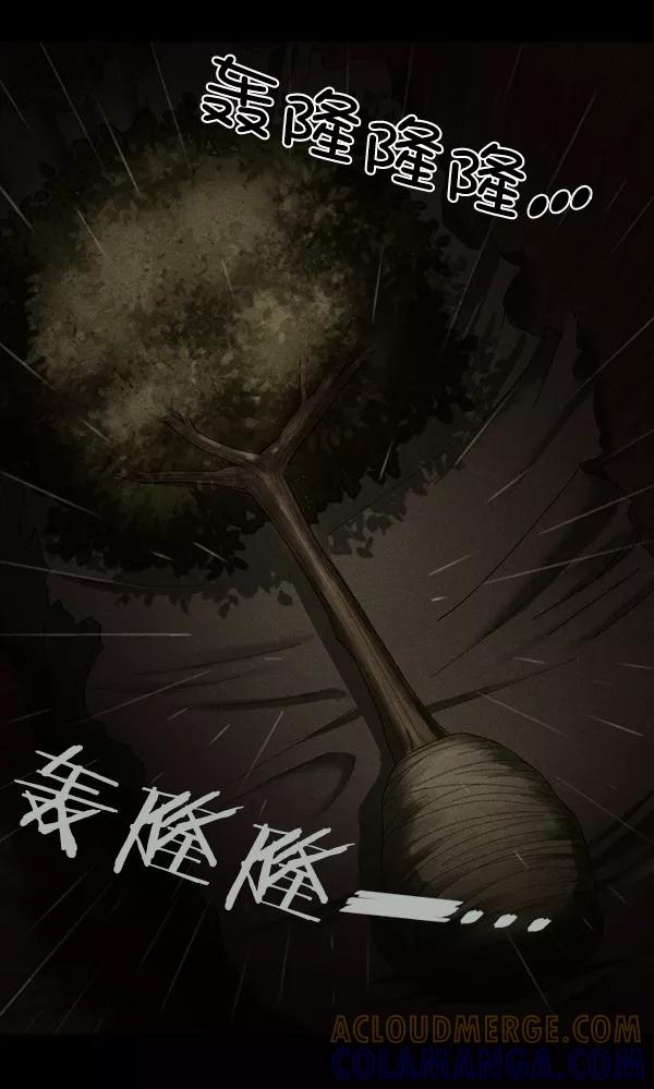 第205页