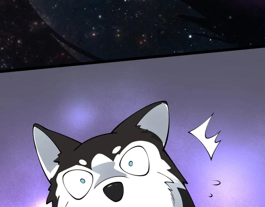 第212页