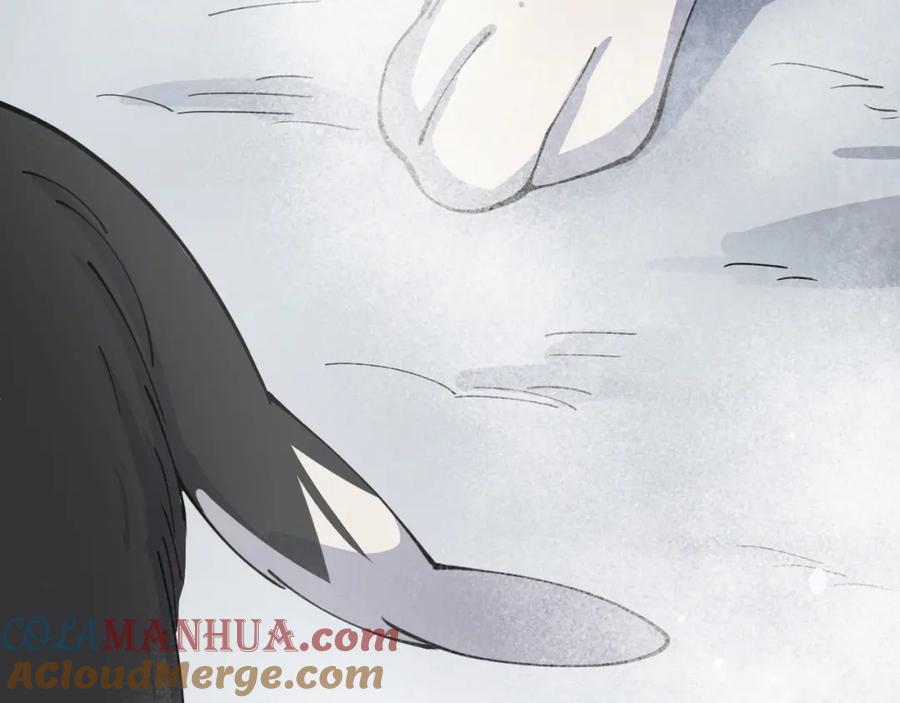第245页