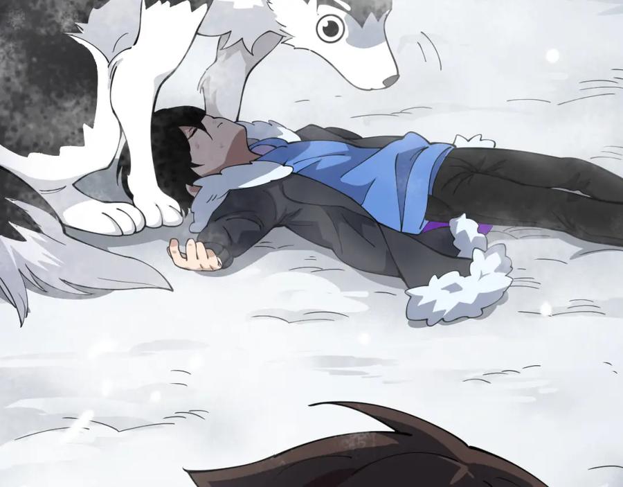 第251页