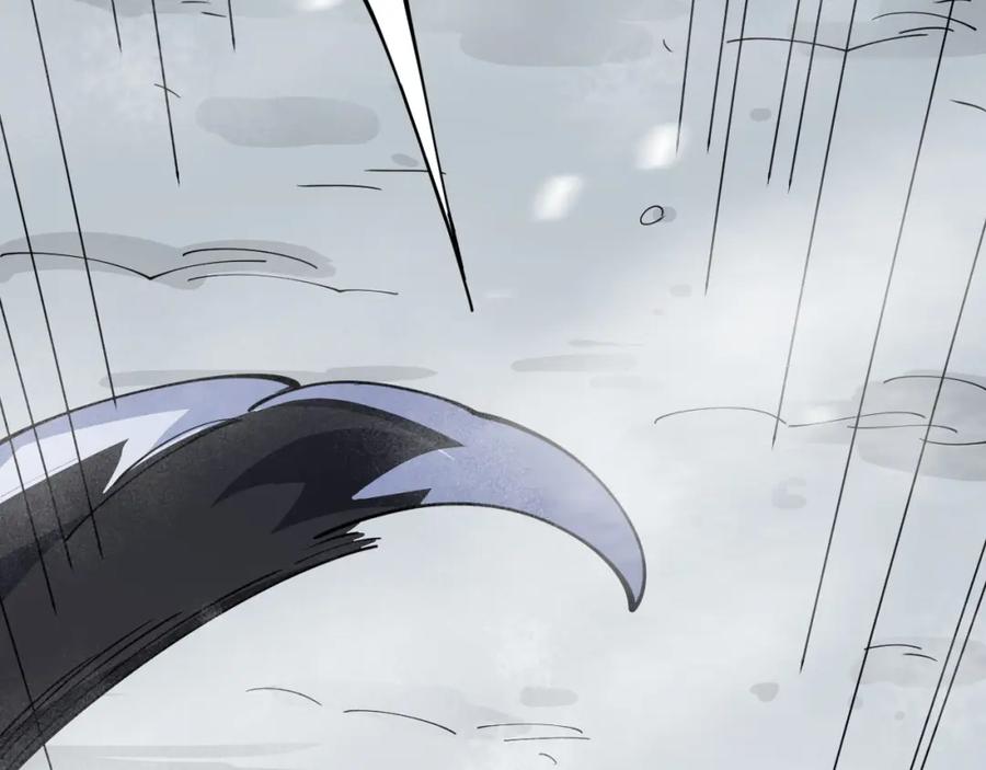 第255页