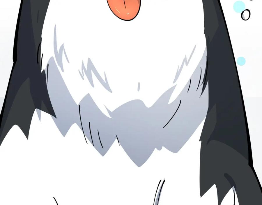 第276页
