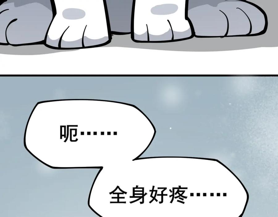 第278页