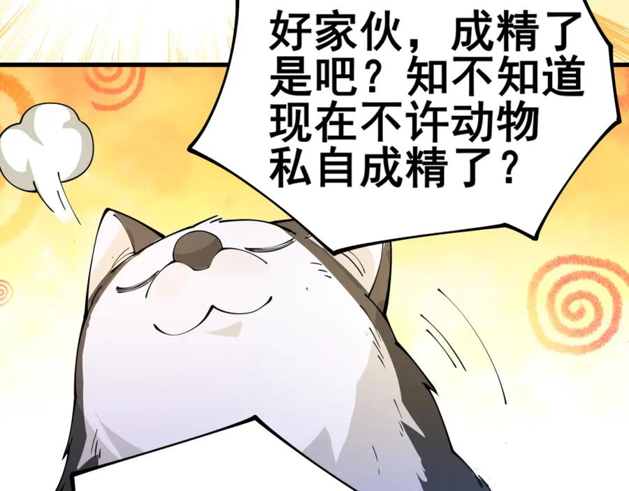 第394页