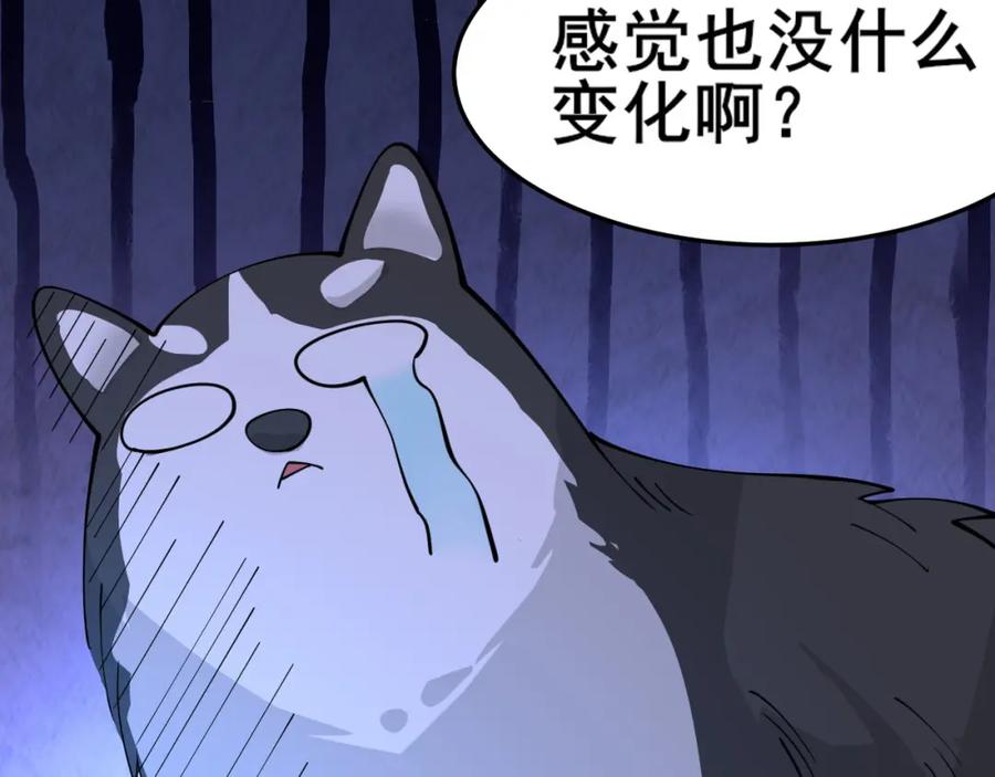 第427页