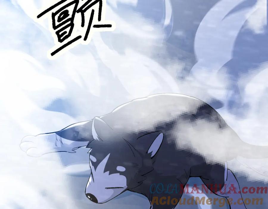 第205页