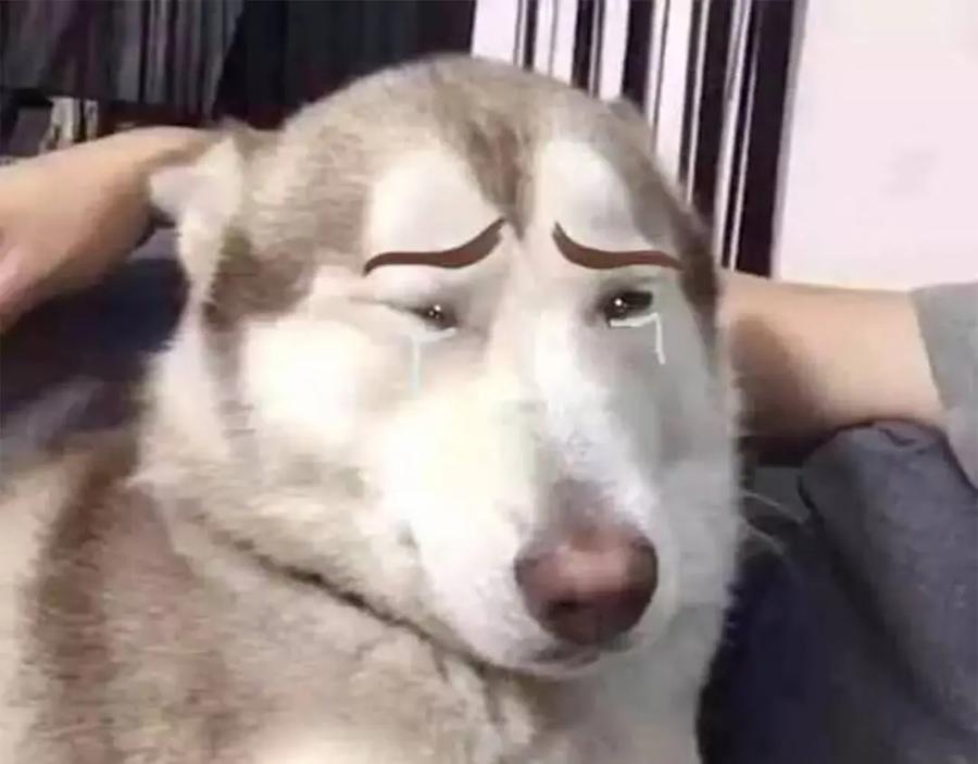第131页