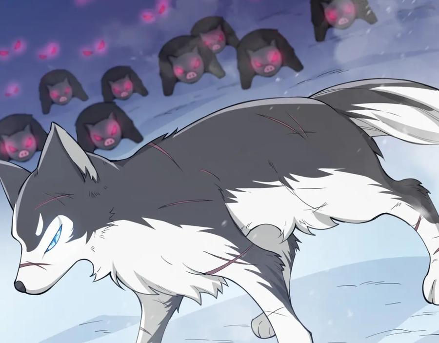 第142页