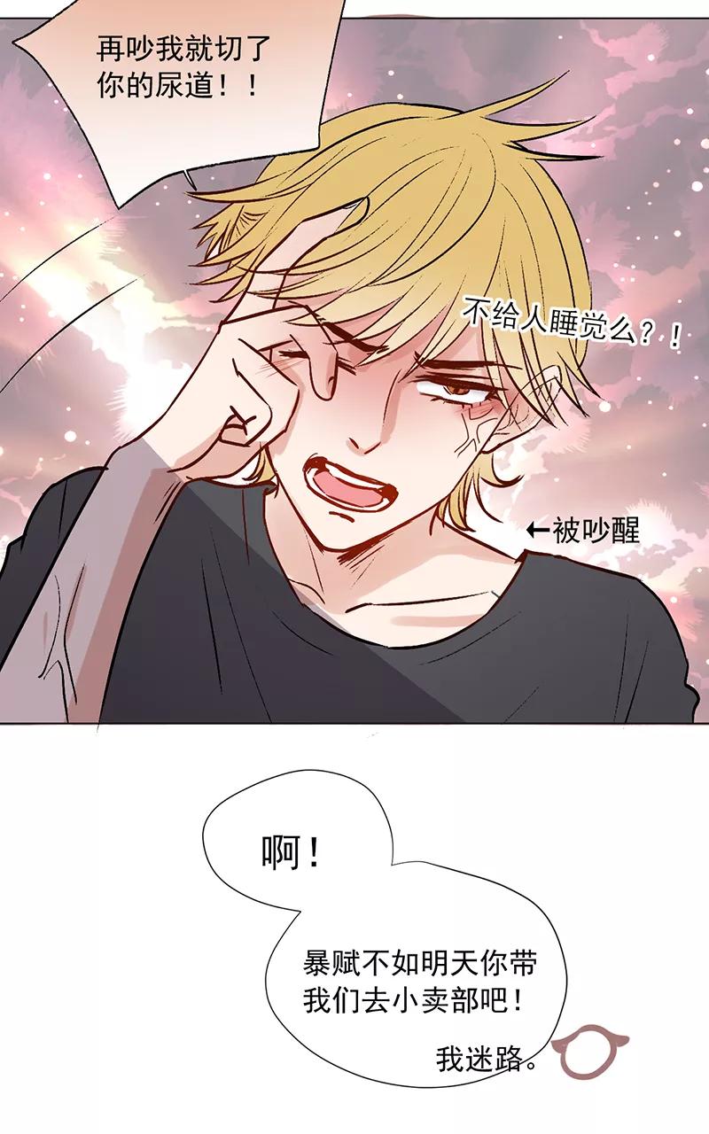 第42页