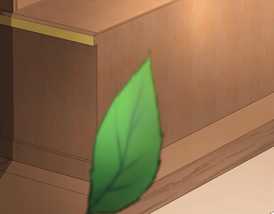 第234页