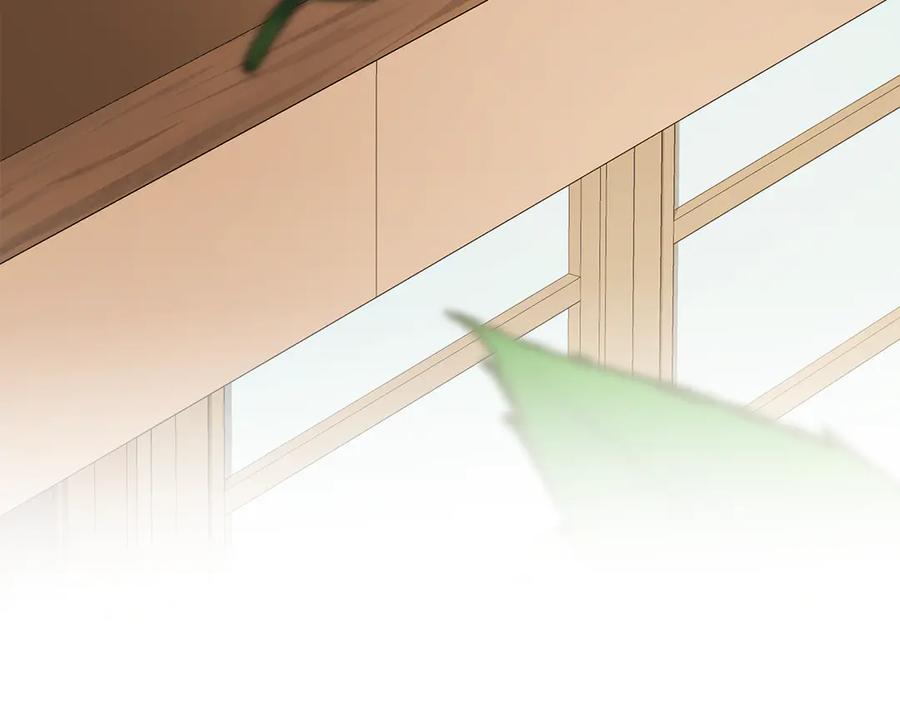 第235页