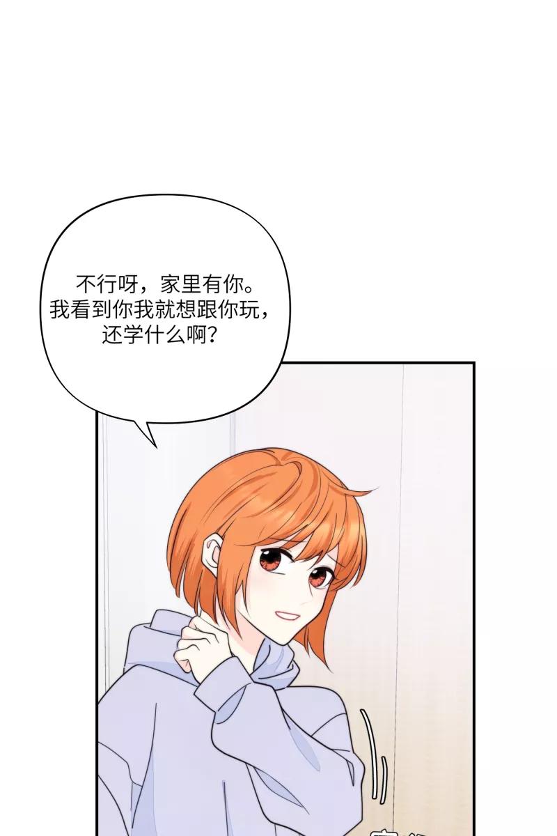 第237页