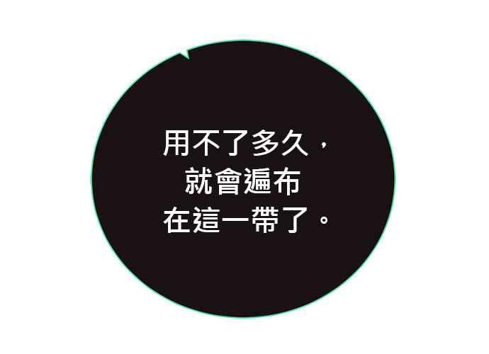 第239页