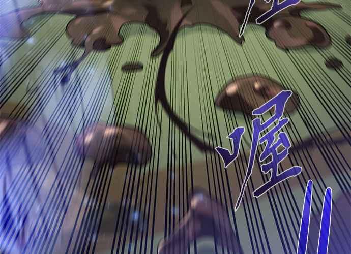 第204页