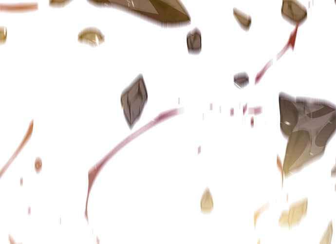 第200页