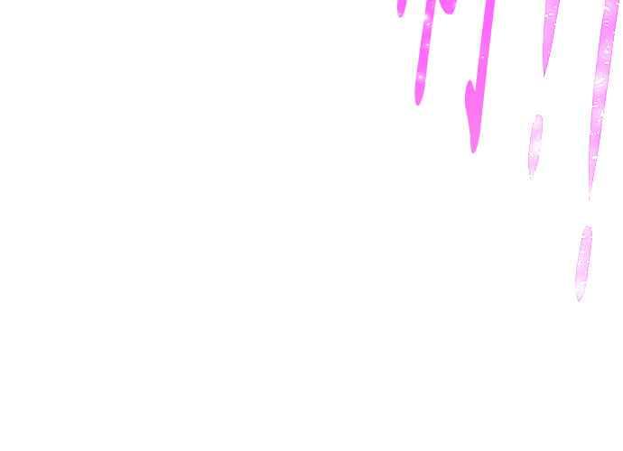 第224页