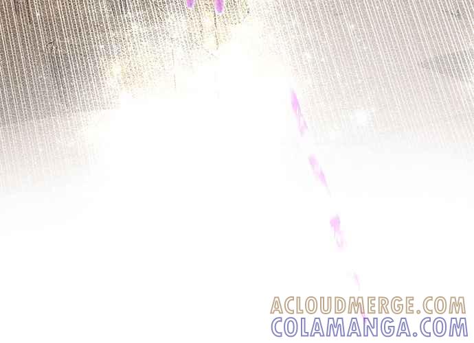 第229页
