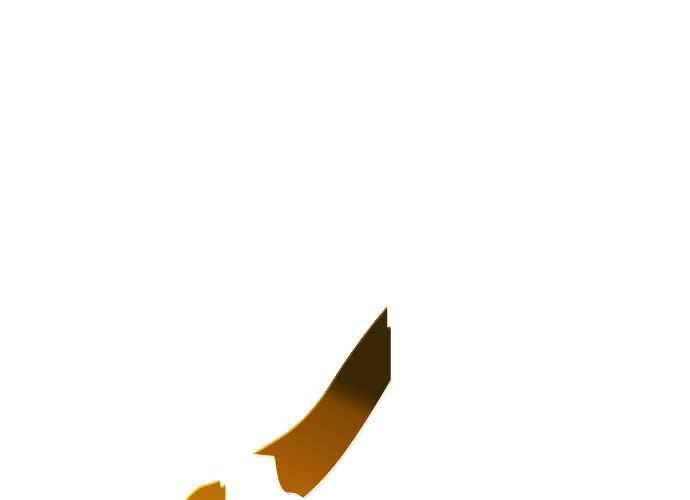 第264页