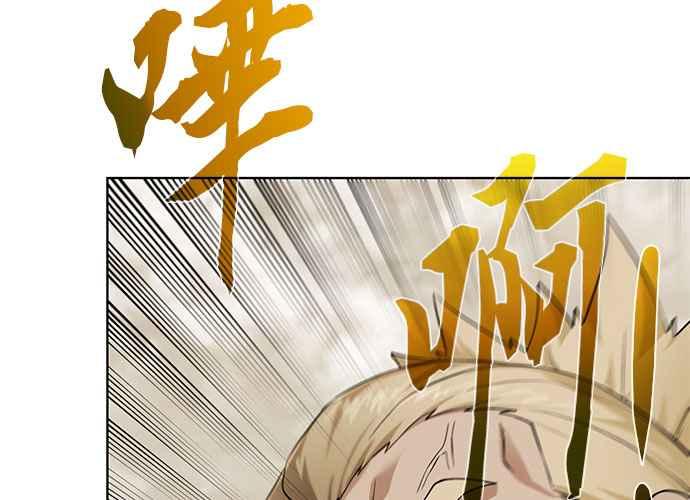 第223页