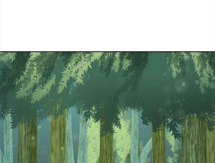 第247页