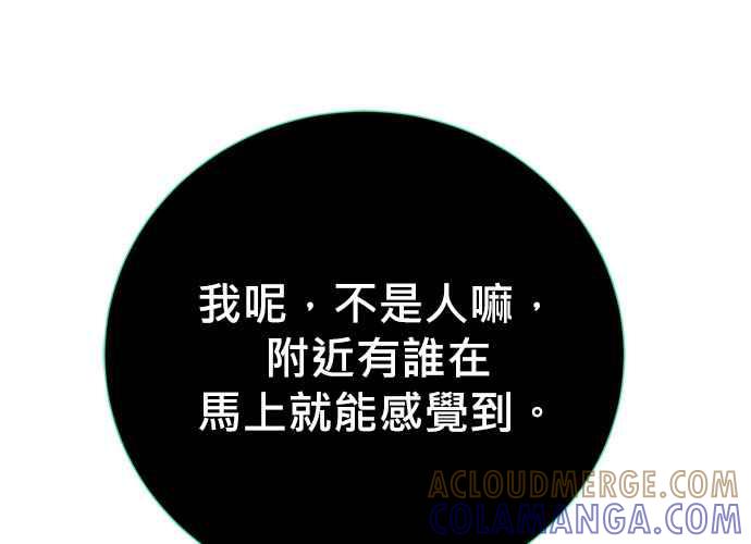 第217页
