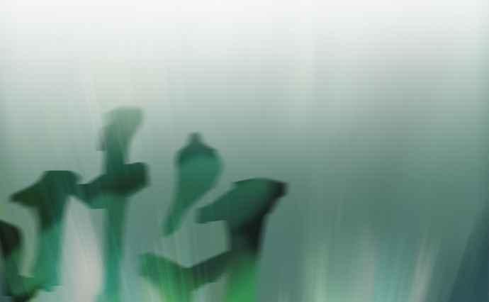 第244页