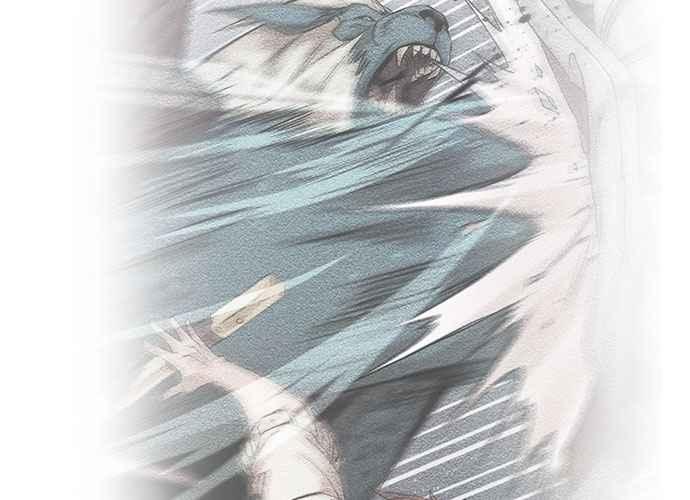 第243页